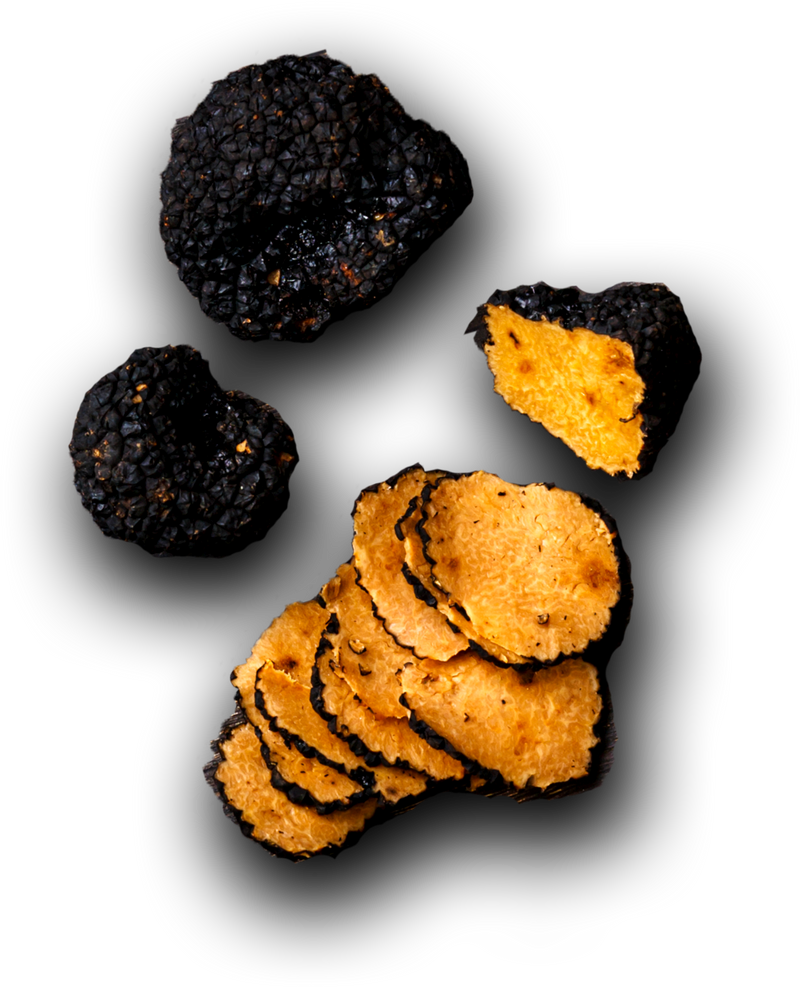 Aroma Truffle The World's Strongest Truffle Chips